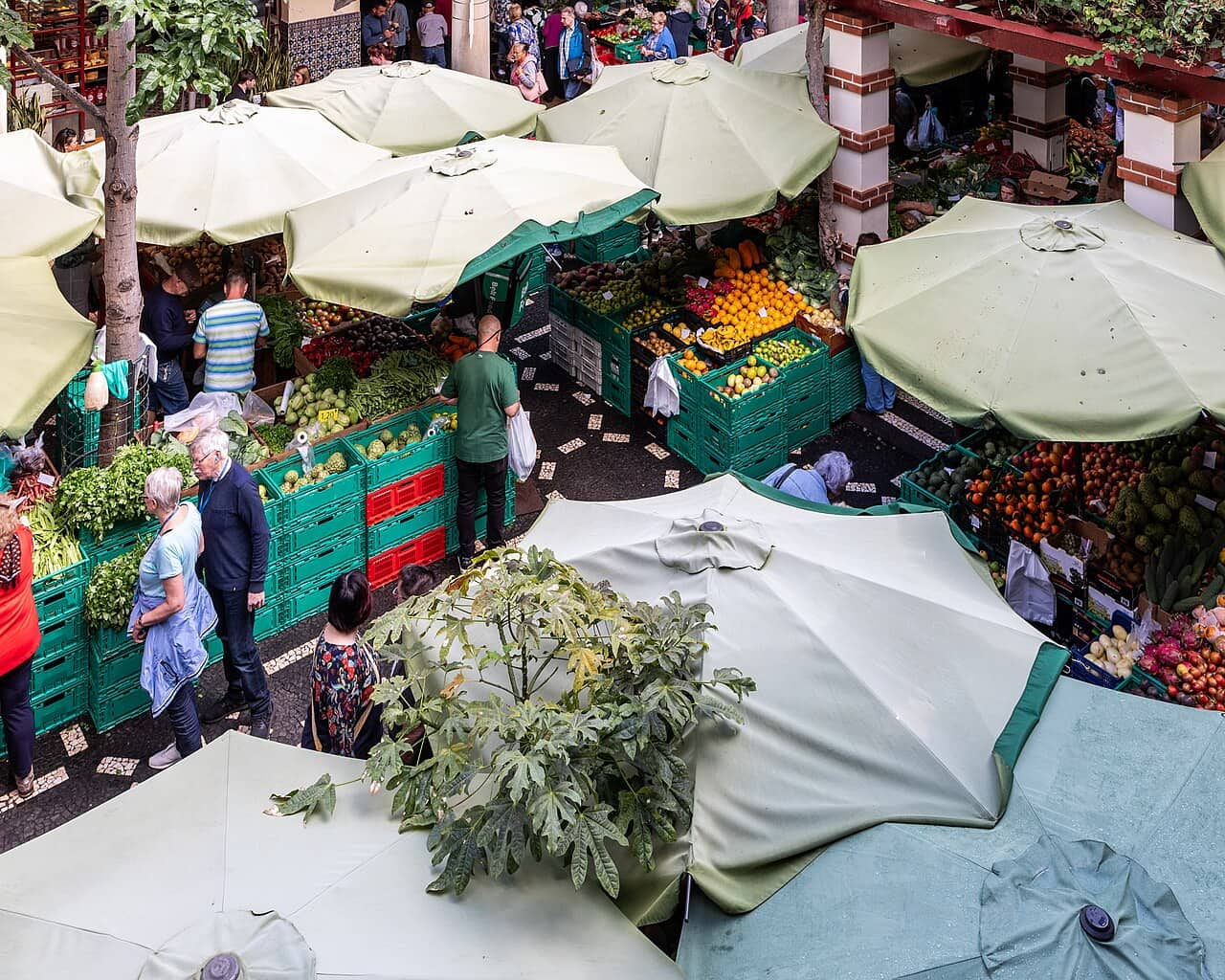 Stände und Sonnenschirme füllen den Innenhof des Mercado dos Lavradores, einen Halt beim Stadtspaziergang durch Funchal.